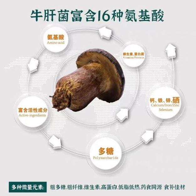 흑간버섯의 '고급 식재료' 신철학 02.png